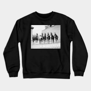 Show Horses, 1912. Vintage Photo Crewneck Sweatshirt